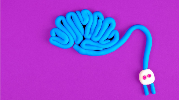 企业定制培训平台，需要考虑三个方面