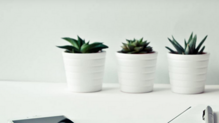 OKR是什么？ Google、Microsoft大型企业都采用的1个管理策略